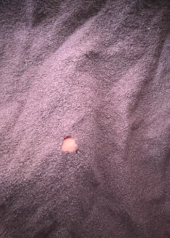 Kadın Şal - Görsel 4