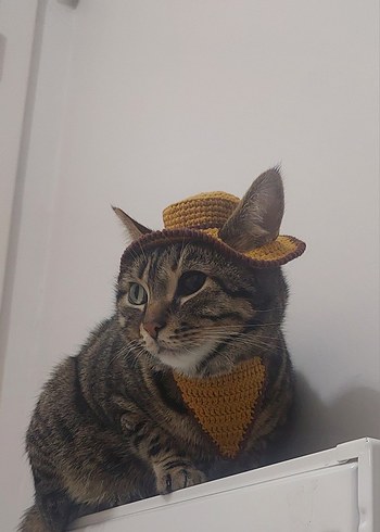 Kahverengi Örgü Kedi Şapkası ve Bandana - Görsel 3