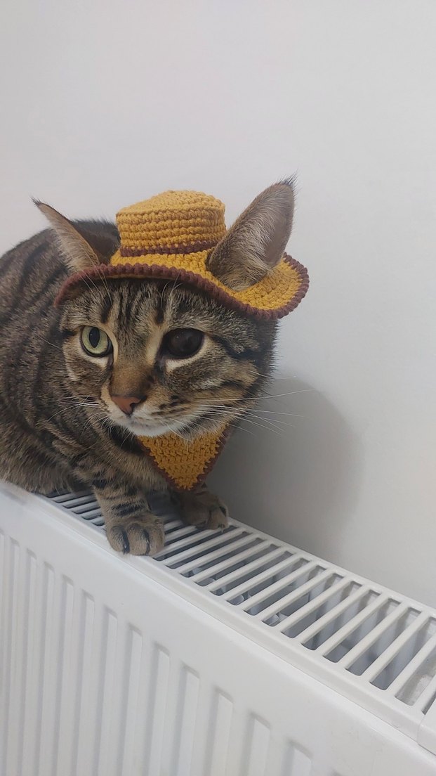 Kahverengi Örgü Kedi Şapkası ve Bandana - Görsel 2