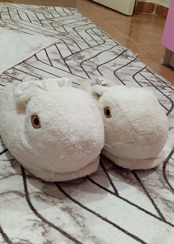 beyaz tavşan ev pandufu - Görsel 2