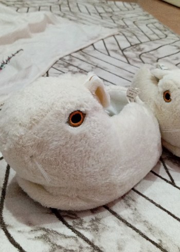 beyaz tavşan ev pandufu - Görsel 3