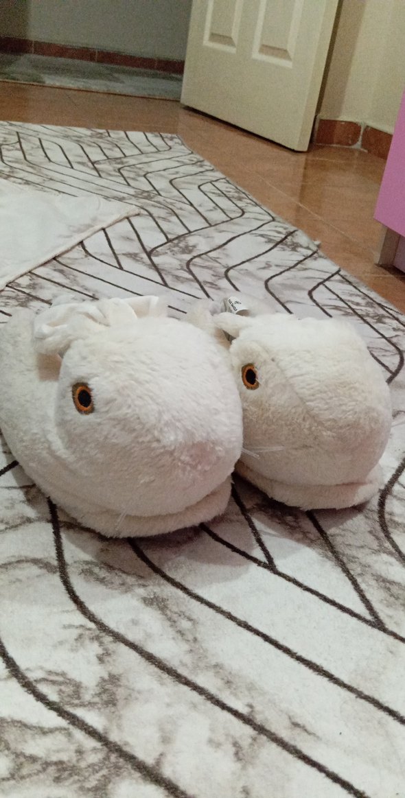 beyaz tavşan ev pandufu - Görsel 2