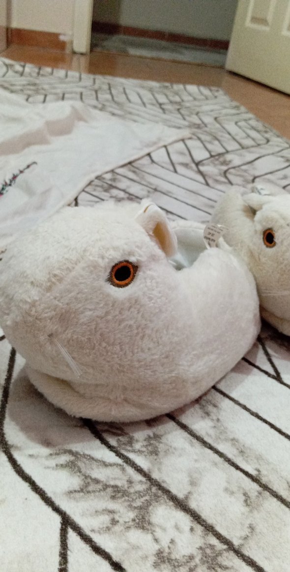 beyaz tavşan ev pandufu - Görsel 3