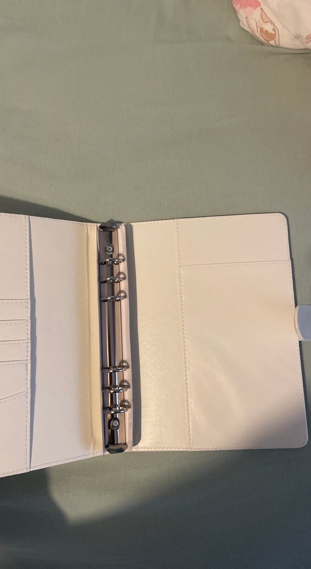 Pastel Beyaz Deri Binder - Görsel 2