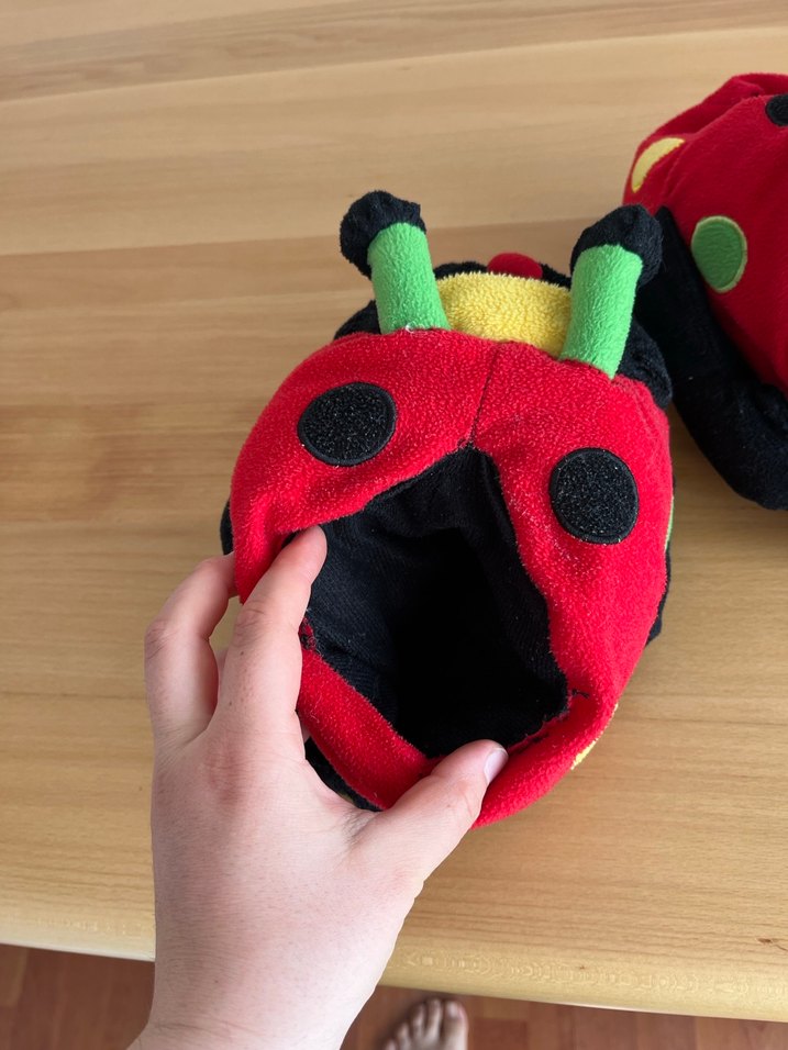 Uğur Böceği Puf Terlik - Görsel 4