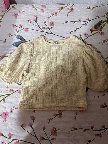 Pull and Bear Crop pull and bear