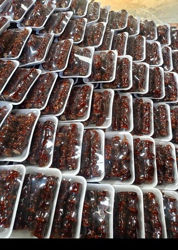 Doğal Kurutulmuş Cevızlı sucuk - Görsel 5