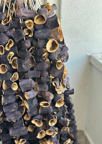 Kurutulmuş patlıcan - Görsel 2