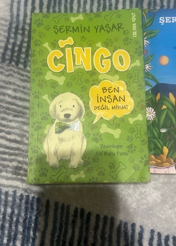 Şermin Yaşar'dan Çingo ve Lo Çocuk Kitapları - Görsel 2