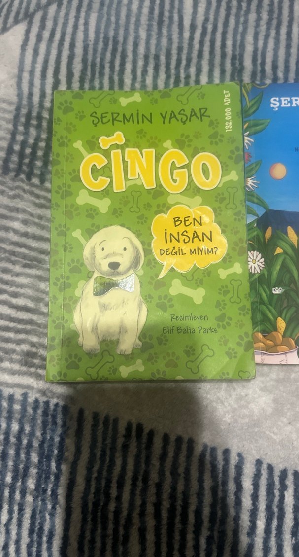 Şermin Yaşar'dan Çingo ve Lo Çocuk Kitapları - Görsel 2