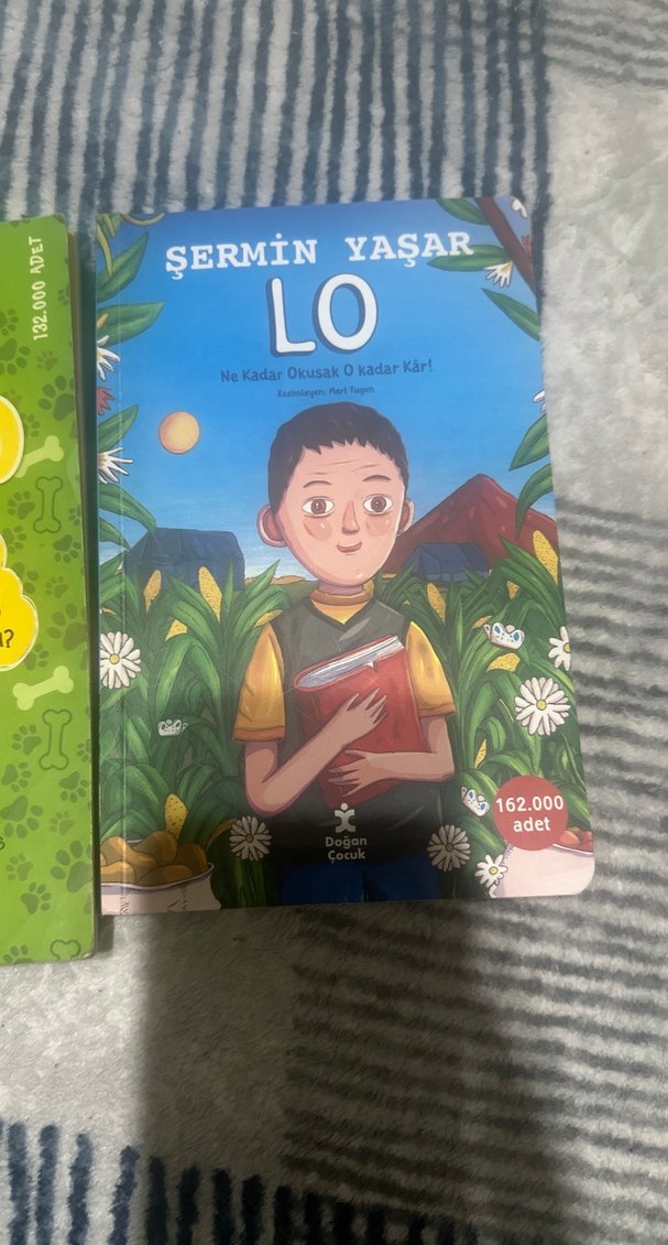 Şermin Yaşar'dan Çingo ve Lo Çocuk Kitapları - Görsel 3