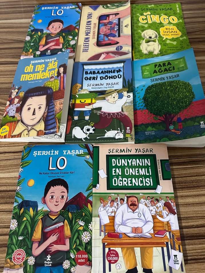 Şermin Yaşar Çocuk Kitapları Seti - Görsel 2