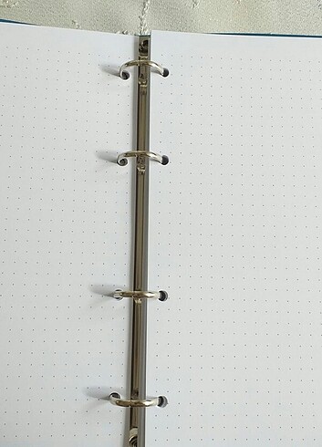 Beden Victorias journals defter