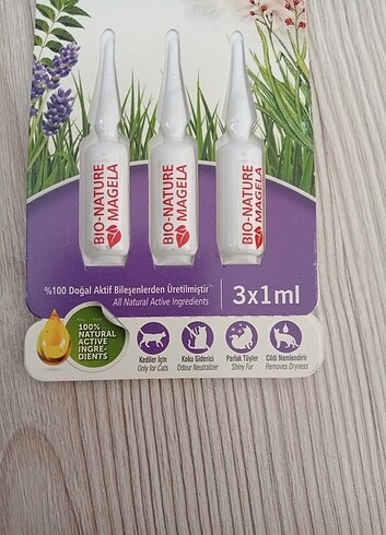 Kedi damlası  - Görsel 2