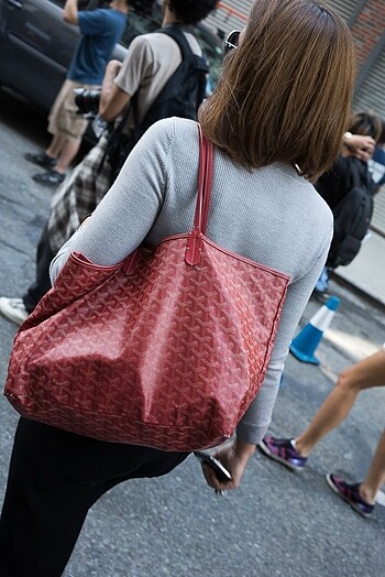  Beden Goyard Tote