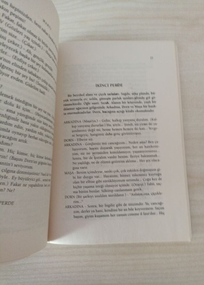 Martı-Anton Çehov - Görsel 3