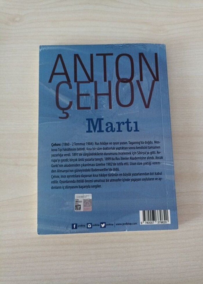 Martı-Anton Çehov - Görsel 2