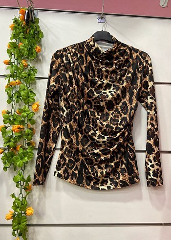 diger m