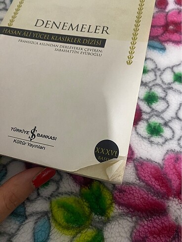 Montaigne-Denemeler - Görsel 4