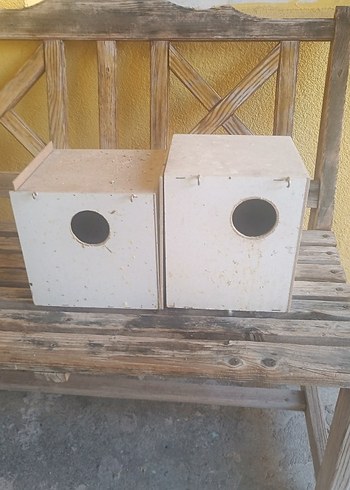 Renkli Kuş Oyuncakları ve Aksesuarları Seti
