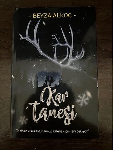  Kar küresi ve Kar tanesi