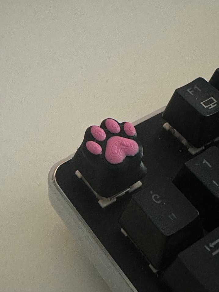 Renkli Siyah Pembe Kedi Patisi Tasarımlı Gaming Klavye Tuşu - Görsel 3