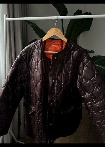 Bordo mango mont