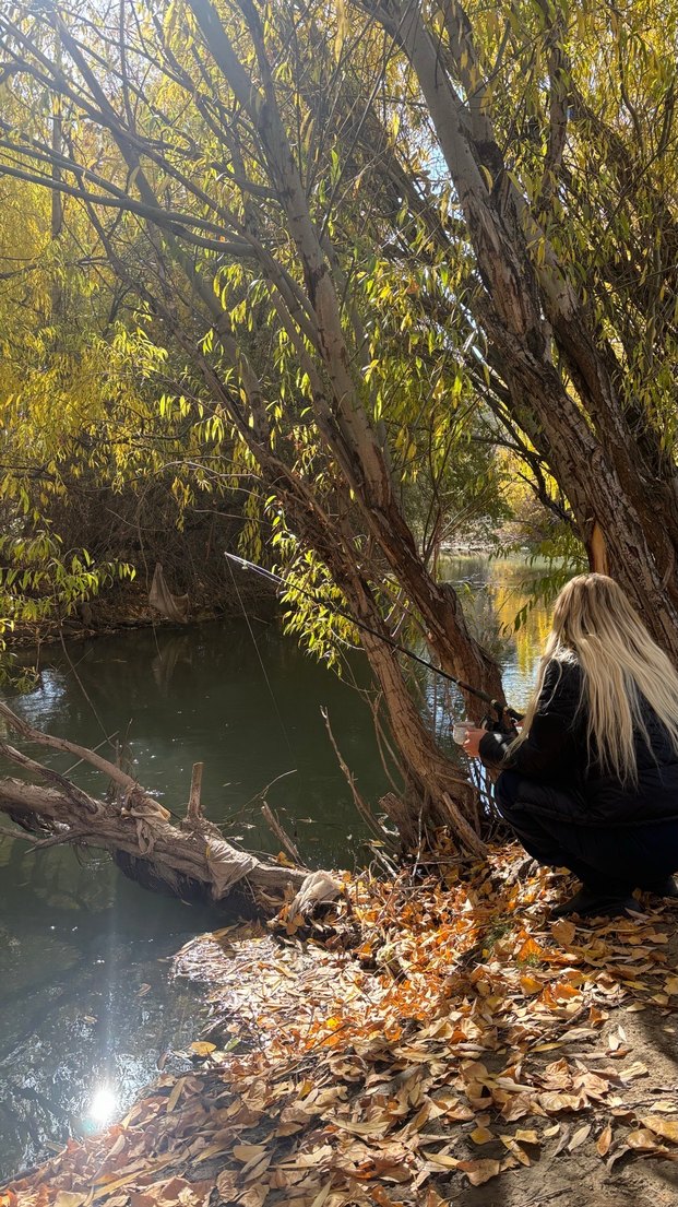 250 adete yakın 100/100 sarı renk Türk saçı - Görsel 2