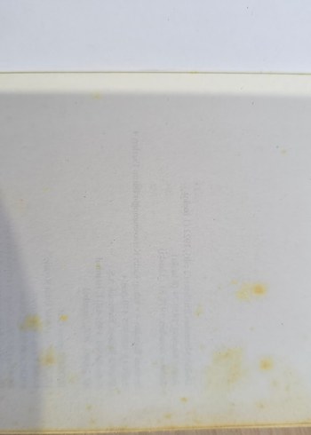 Kiralık Konak Romanı - Görsel 4