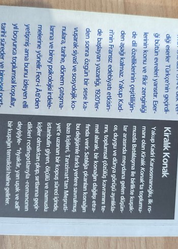 Kiralık Konak Romanı - Görsel 2