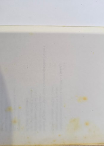 Kiralık Konak Romanı - Görsel 3