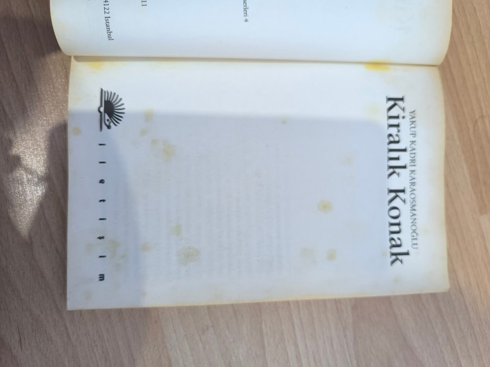 Kiralık Konak Romanı - Görsel 5