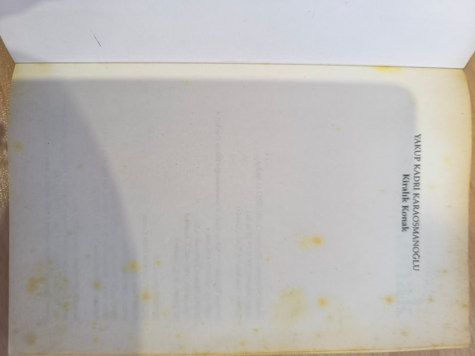 Kiralık Konak Romanı - Görsel 3