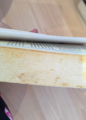 Safahat - Mehmet Akif Ersoy - Görsel 4