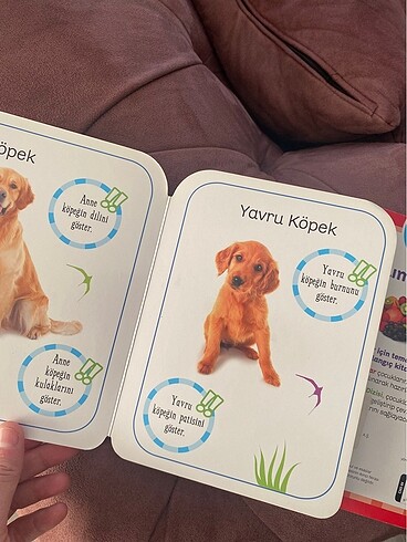 Beden Bebek eğitici kıtap