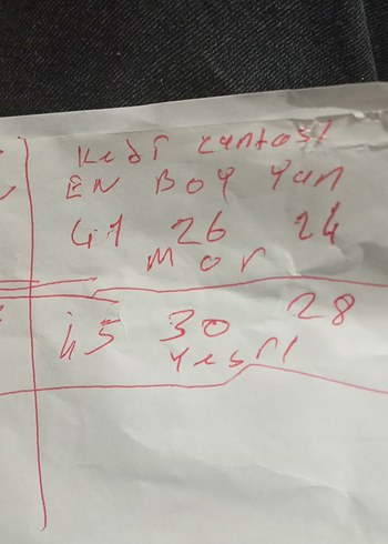 Şeffaf Detaylı Yeşil kedi Çantası - Görsel 9