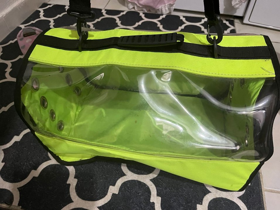 Şeffaf Detaylı Yeşil kedi Çantası - Görsel 5