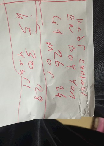 Mor kedi cantası - Görsel 7