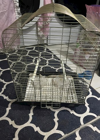 altın sarısı Kuş Kafesi - Görsel 2