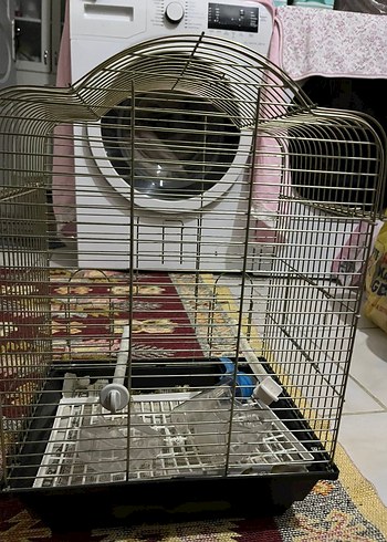 altın sarısı Kuş Kafesi - Görsel 4