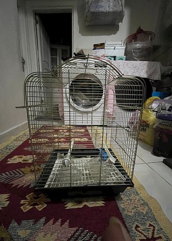 altın sarısı Kuş Kafesi - Görsel 9