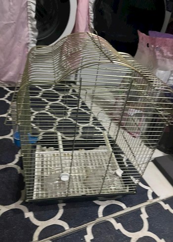 altın sarısı Kuş Kafesi - Görsel 3