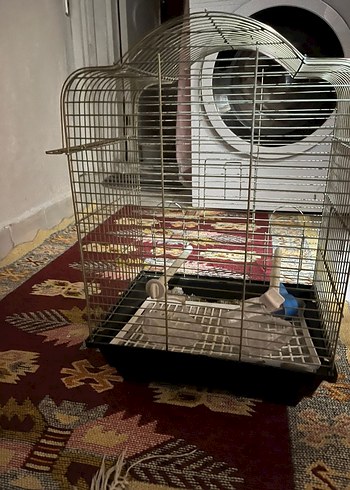 altın sarısı Kuş Kafesi - Görsel 5