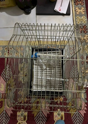 altın sarısı Kuş Kafesi - Görsel 7