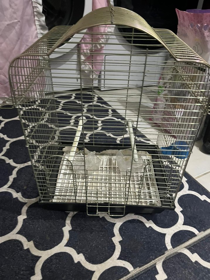 altın sarısı Kuş Kafesi - Görsel 2