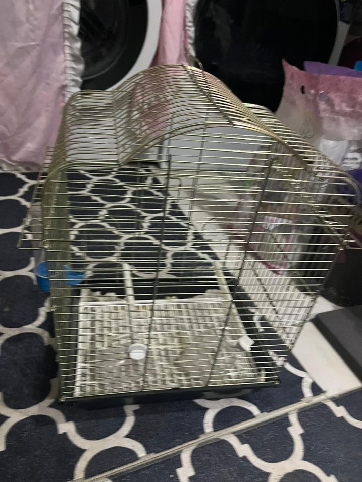 altın sarısı Kuş Kafesi - Görsel 3