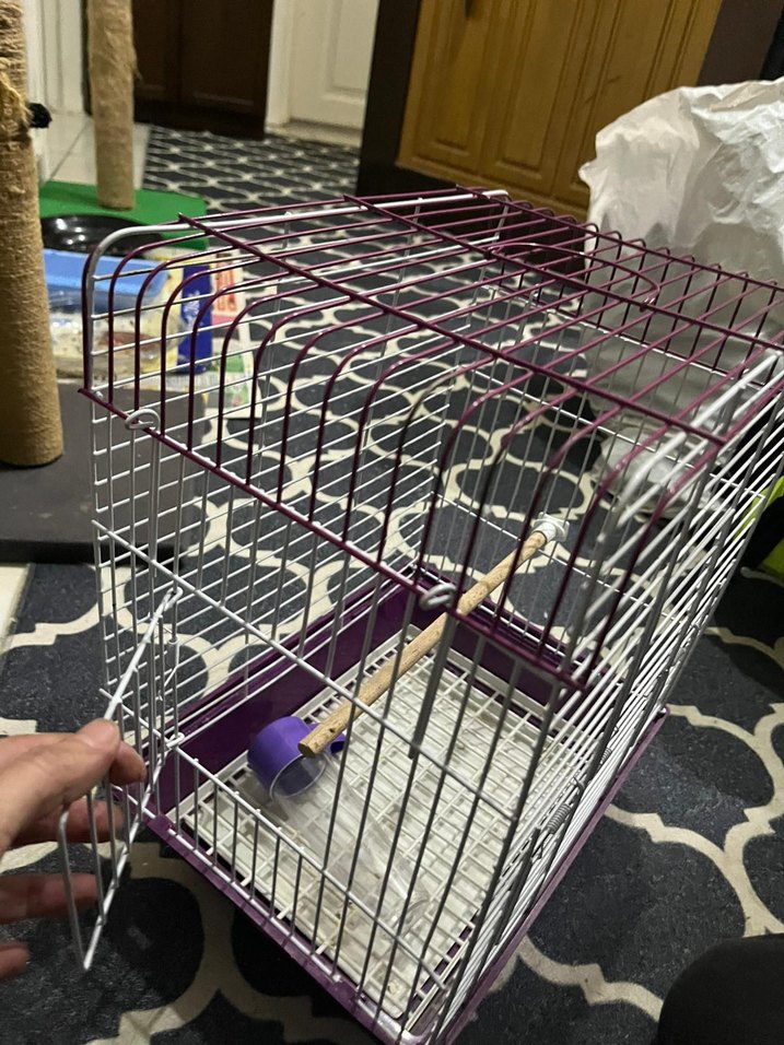 Mor beyaz Küçük Hayvan Kafesi - Görsel 5