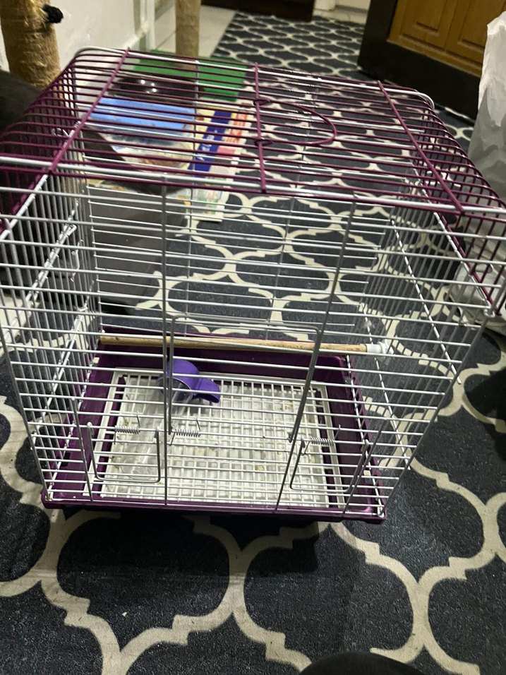 Mor beyaz Küçük Hayvan Kafesi - Görsel 4