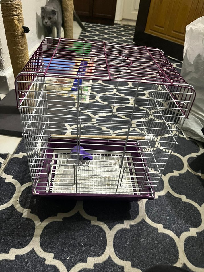 Mor beyaz Küçük Hayvan Kafesi - Görsel 2