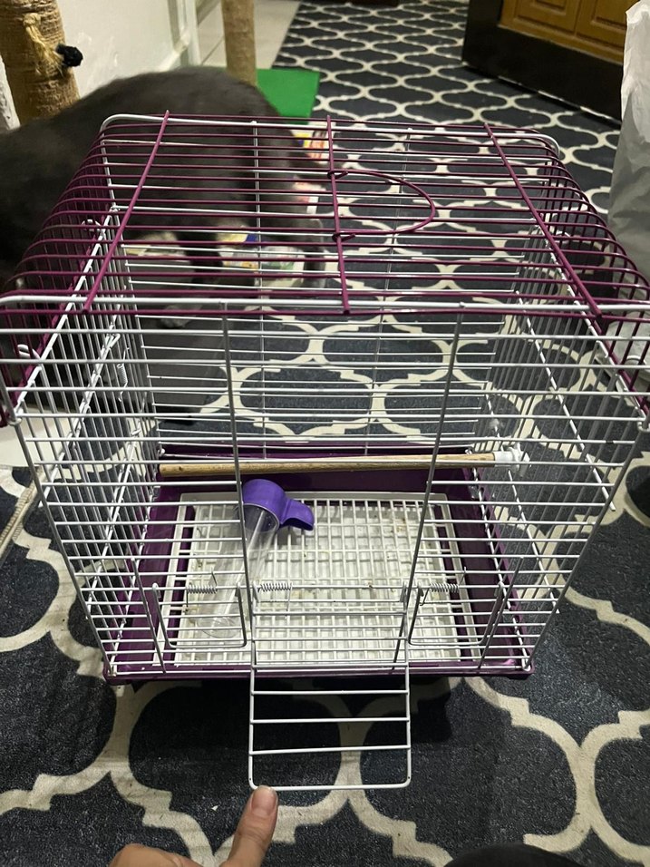 Mor beyaz Küçük Hayvan Kafesi - Görsel 3